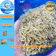 MATA Joe Ocean Resources Eyed Anchovy Rare Finebiru 5A (200g 500g/ 1kg/)