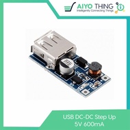 USB DC-DC Step Up 5V 600mA Input 0.9-5V Booster Charger Module