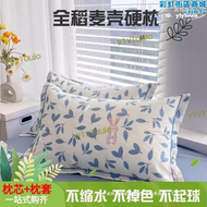 【品質認證】稻殼枕頭單人硬枕頭加大宿舍稻穀殼家用稻麥皮4874學生高枕芯一對