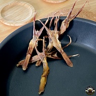 Furry Treats Duck Tongue