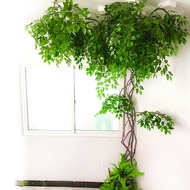 Simulation Branches Leaves Branches Large Fake Trees Dead Vines Decorative Tree Vines Vines Leaves L