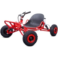 High Performance Off-road Petrol-powered Go Kart