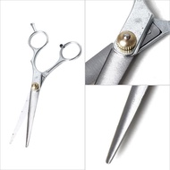 Oliver Professional Barber Scissor Set Cutting & Thinning Shears