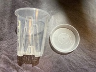 $90/5set 16cm 青山盆 中空透氣款 透明控根花盆連儲水底托  防爛根 多肉 觀葉 龜背 蘭花 植物 象牙宮 龍舌蘭 龜甲龍 塊根 白皮 象足 惠比大黑 鬼棲閣 安哥拉葡萄 星兜 橄欖