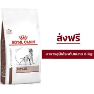 (ส่งฟรี) Royal Canin Hepatic Dog 6 kg อาหารสุนัขโรยัลคานินสูตรโรคตับ 6 กิโลกรัม
