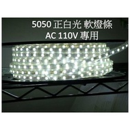 【ARS生活館】LED燈條 LED防水軟燈條 110V(免變壓器.只需轉換插頭) 5050SMD貼片 正白光