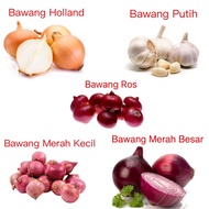 Bawang Merah Besar/Bawang Putih/Bawang Holland 500g/1kg