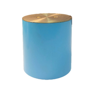 SCG คลีนเอาท์ ท่อสั้นฝาทองเหลือง อุปกรณ์ท่อร้อยสายไฟ PVC สีฟ้า ขนาด 2 นิ้ว 3 นิ้ว 4 นิ้ว เอสซีจี