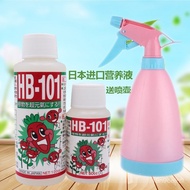 强效原装日本进口HB101植物活力50ML素颗粒肥料多肉兰花生根水溶肥 KMUK