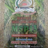 Bibit Padi Sertani MSP 13 / Benih Padi Sertani MSP 13