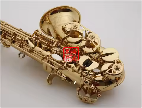 New Curved Soprano Saxophone S-991Gold Lacquer Sax Curved Soprano Musical Instruments Professional I