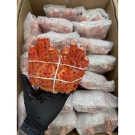 [TASTY FROZEN] Alaska King Crab 阿拉斯加帝王蟹