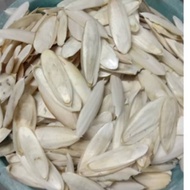 Cuttlefish bone / Tulang sotong -  sumber vitamin ternakan