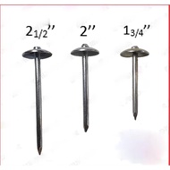 Essential Have AINNA 100g Roofing Nails Paku Payung 1 3/4” 2” 2 1/2” Reliable