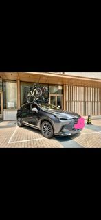 汽車單車架 THULE