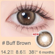 [Blush Girl Series|New Arrivals] Magister Contact Lens Power(0.00~-6.00) 14.2mm Natural Coloured Con