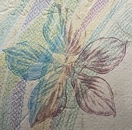 2008年北京奧運紀念鈔 20港元