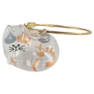 Transparent Pet Fur Keepsake Capsule Cat Hair Storage Capsule Keychain for Cat Fur DIY Memorial Gift