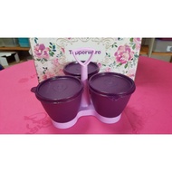 Tupperware 3-Compartment Seasoning Basket Capacity 300 Ml. The Lid Is Tight And Not Spilled.