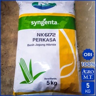 Benih Jagung NK 6172 PERKASA (5KG) - ORI Syngenta