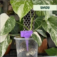 name tag id  penanda pot bunga tanaman hias dekorasi taman - ungu