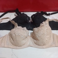 Fashion 921 WHPD bra, lace bra with padded underwire, size B75, C75, B80, C80, B85, C85, skin color,