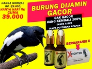 XFIGHTER PENGGACOR VITAMIN SEMUA BURUNG BERGARANSI