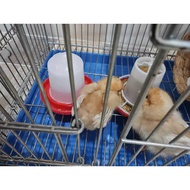 Rutin Chicken Feeder Set Rutin Chicken Water Bottle Chick Feeder Chicken Water Bottle Chick Feeder Q