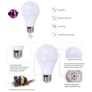 G&Y LED Bulb 12V LED Light 5W 7W 9W 12W15W 20W 30W For Led Light Bulbs12-85V Low Voltages Lamps