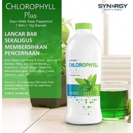 CHLOROPHYLL Drink as Natural Antioxidant CHLOROPHYLL PLUS (25 Oz) Synergy