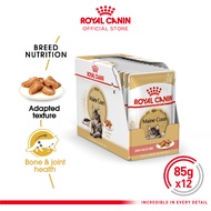 Royal Canin Adult Maine Coon Makanan Kucing Dewasa Maine Coon Wet 12x85gr - 1 Box