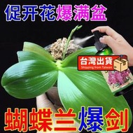 【樂樂屋】【花肥】蝴蝶蘭營養液 【爆箭王】快速促花劍開花防黃葉爛根葉面肥 有機肥