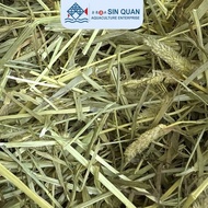 PREMIUM TIMOTHY HAY 1kg Small Animal Daily Diet