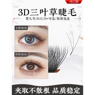 Kiss Eyelashes Clover Grafted Eyelashes Beauty Eyelash Shop Dedicated Barbie d-Up Baby Curved Super 