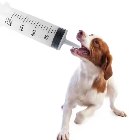 Transparent Large Capacity Syringe Plastic with Scale Measuring Syringe 60/100/200/300/500ML Reusabl