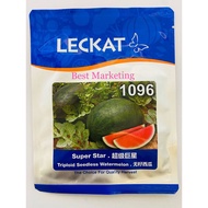 20G 1096 LECKAT SEEDLESS WATERMELON/ Tembikai tanpa biji
