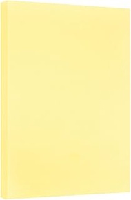JAM PAPER Vellum Bristol 67lb Cardstock - 11 x 17 Ledger Size Coverstock - 147 gsm - Canary Yellow -