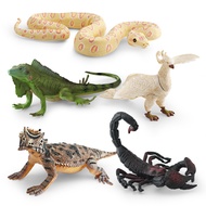 Simulation Forest Reptile Model Children's Cognitive Practice Cognitive Toys White Phoenix Green Igu