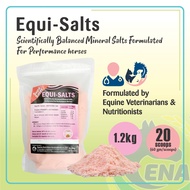 ENA Equi salts equine supplement scientifically balanced mineral salts formulated 1.2kg
