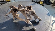 水族 魚缸 沉木（大型）