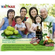 WAYNAX MorinEs灵芝诺丽精华Natural Noni Drink With Ganoderma and Moringa-30ml