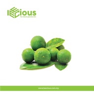 Fresh Calamansi Limau Kasturi 250gram Fresh Fruits