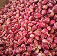 bawang merah berebes sedang kering 450 gram