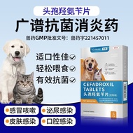 YOUMAN Pet Anti-Inflammatory Broadspectrum Antibiotics Universal Source for Cats Dogs Manufacturers 