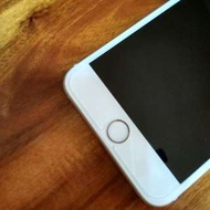 蘋果 Apple iPhone6plus 金色64G 官網公司貨 過保極新！i6plus