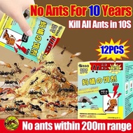 【Super strong ant killing bait】 PCK Ant killer Ant poison Ant bait Ant killer bait Thoroughly elimin