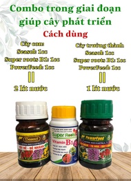 COMBO giai đoạn giúp cây phát triển B1 super Roots SEASOL POWERFEED