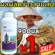 พิเศษสำหรับนาข้าว ความจุสูง900ml ยา ฆ่า หญ้า ยาฆ่ าหญ้าในนาข้าว กำจัดวัชพืชใบกว้างและกกไม่ทำลายข้าว 