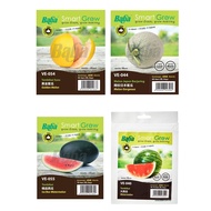 BABA SMART GROW WATERMELON & MELON SEEDS/ Watermelon/ Ice Box Watermelon/ Golden Melon/ Melon Gorgeo
