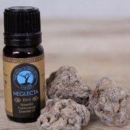 The Frankincense Store Boswellia Frankincense Essential Oil Neglecta 10ml